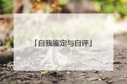 自我鉴定与自评