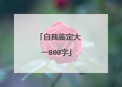 自我鉴定大一800字