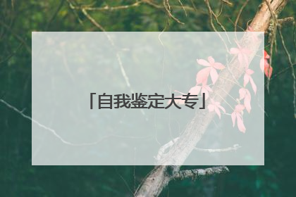 自我鉴定大专