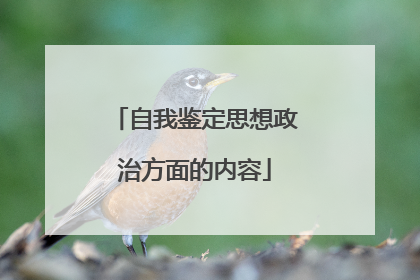 自我鉴定思想政治方面的内容