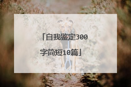 自我鉴定300字简短10篇
