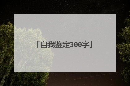 自我鉴定300字