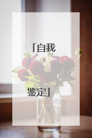 自我鉴定