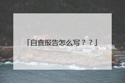 自查报告怎么写??