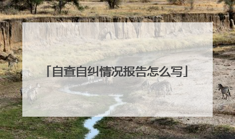 自查自纠情况报告怎么写