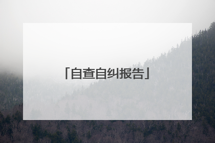 自查自纠报告