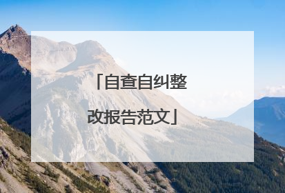 自查自纠整改报告范文