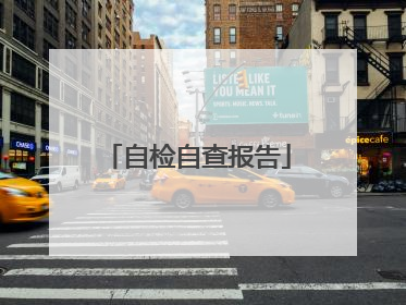 自检自查报告