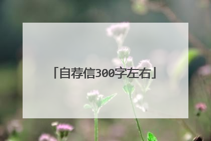 自荐信300字左右
