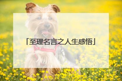 至理名言之人生感悟
