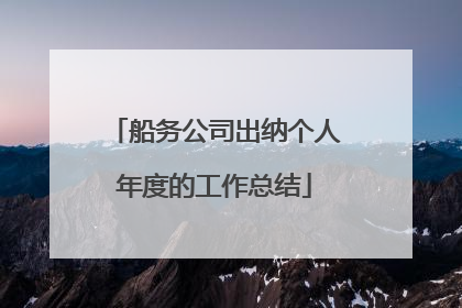 船务公司出纳个人年度的工作总结