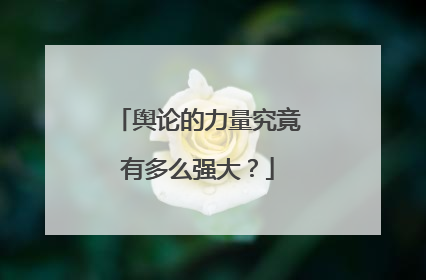 舆论的力量究竟有多么强大?