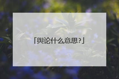 舆论什么意思?
