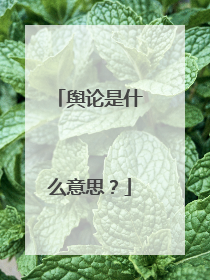 舆论是什么意思?