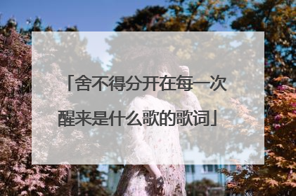 舍不得分开在每一次醒来是什么歌的歌词