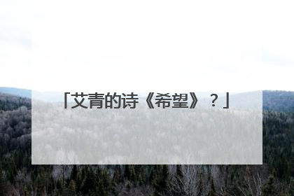艾青的诗《希望》?
