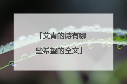 艾青的诗有哪些希望的全文