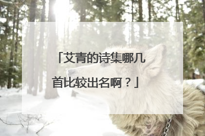 艾青的诗集哪几首比较出名啊？