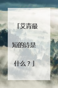 艾青最短的诗是什么?
