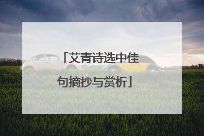 艾青诗选中佳句摘抄与赏析