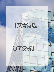 艾青诗选句子赏析