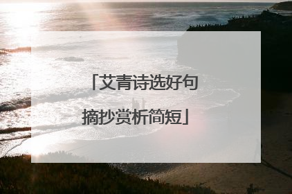 艾青诗选好句摘抄赏析简短