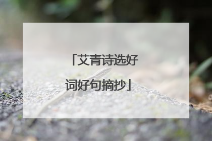 艾青诗选好词好句摘抄