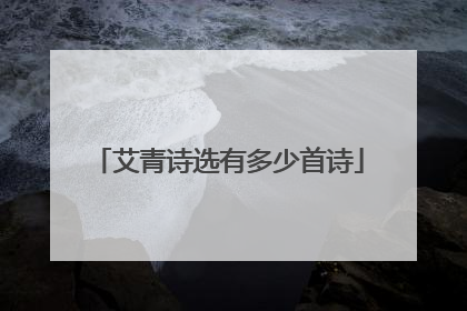 艾青诗选有多少首诗