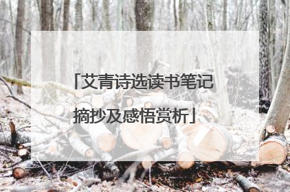 艾青诗选读书笔记摘抄及感悟赏析