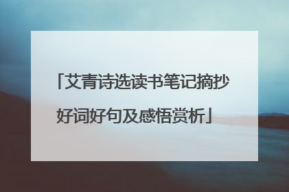 艾青诗选读书笔记摘抄好词好句及感悟赏析