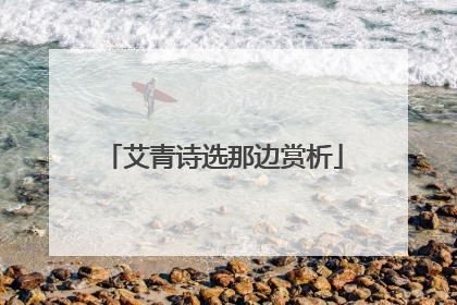 艾青诗选那边赏析