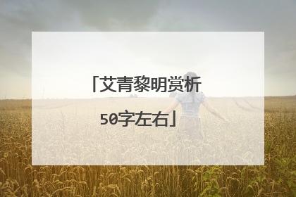 艾青黎明赏析50字左右