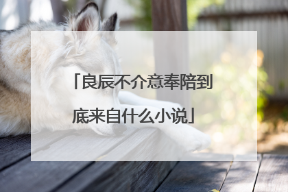 良辰不介意奉陪到底来自什么小说