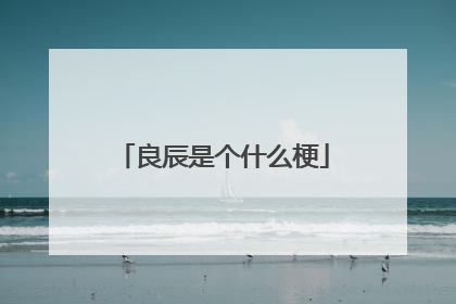 良辰是个什么梗