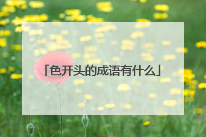 色开头的成语有什么