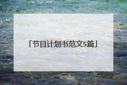 节目计划书范文5篇