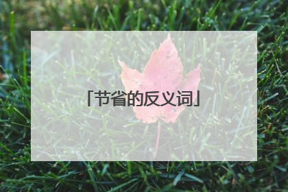 节省的反义词