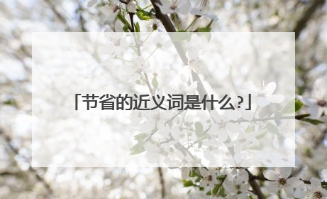 节省的近义词是什么?