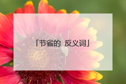节省的 反义词