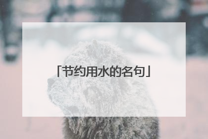 节约用水的名句