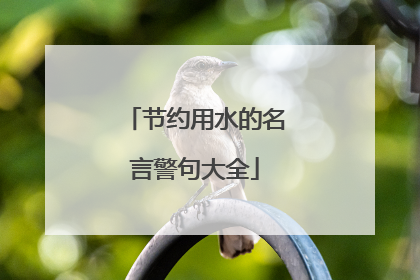 节约用水的名言警句大全