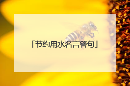 节约用水名言警句