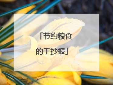 节约粮食的手抄报