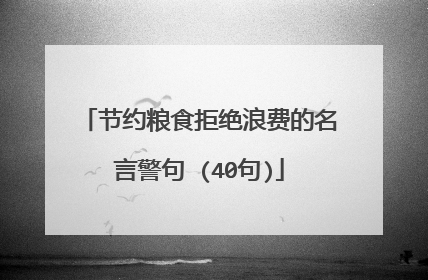 节约粮食拒绝浪费的名言警句 (40句)