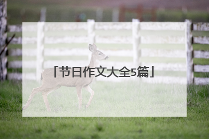 节日作文大全5篇