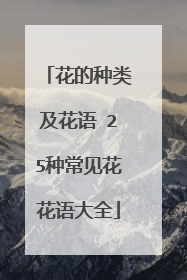 花的种类及花语 25种常见花花语大全