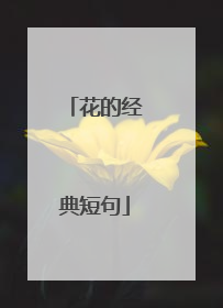 花的经典短句