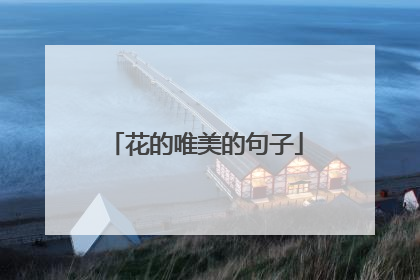 花的唯美的句子