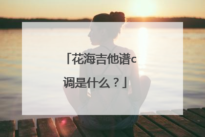花海吉他谱c调是什么?