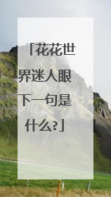 花花世界迷人眼下一句是什么?